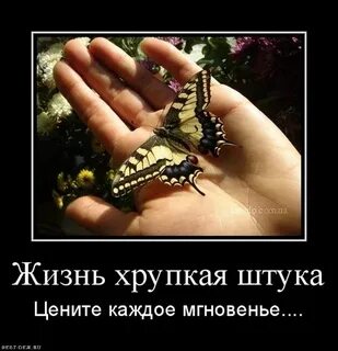И каждую минуту и каждое мгновение