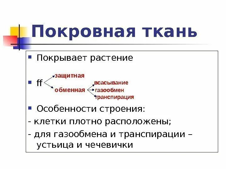 Покровная строение и функции. Особенности строения покровной ткани. Особенности строения покровной ткани растений. Покровная ткань строение и функции. Функции покровной ткани.