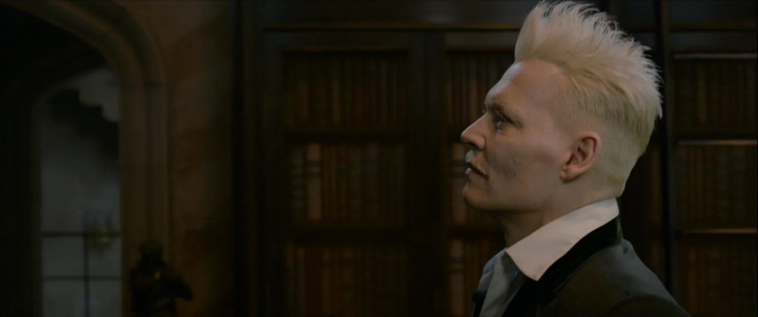 джонни депп в фантастических тварях. гриндевальд. на каком факультете учился гриндевальд. геллерт гриндевальд. гриндевальд гарри поттер джонни.