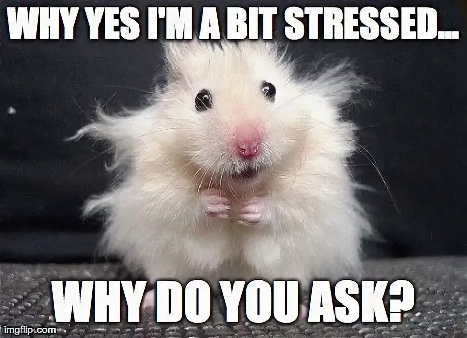 Why do you ask me. Why yes? i am a big stressed. i am so stressed out over being. i would like to stress.