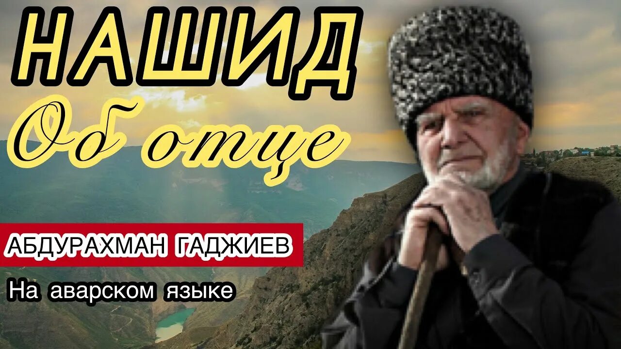 Нашиды на аварском бесплатные. Отец на аварском языке. Нашид про отца на аварском. Абдурахман Гаджиев нашиды. Пожелания отцу на аварском языке.