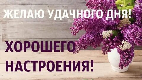 Добрый день не интересно