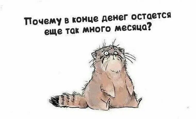 Ум чистить надо каждый день. Развод в современном мире. Почему так мало ем и так много какаю. Жадность лучшее средство от женщин. Почему в конце денег так много месяца.