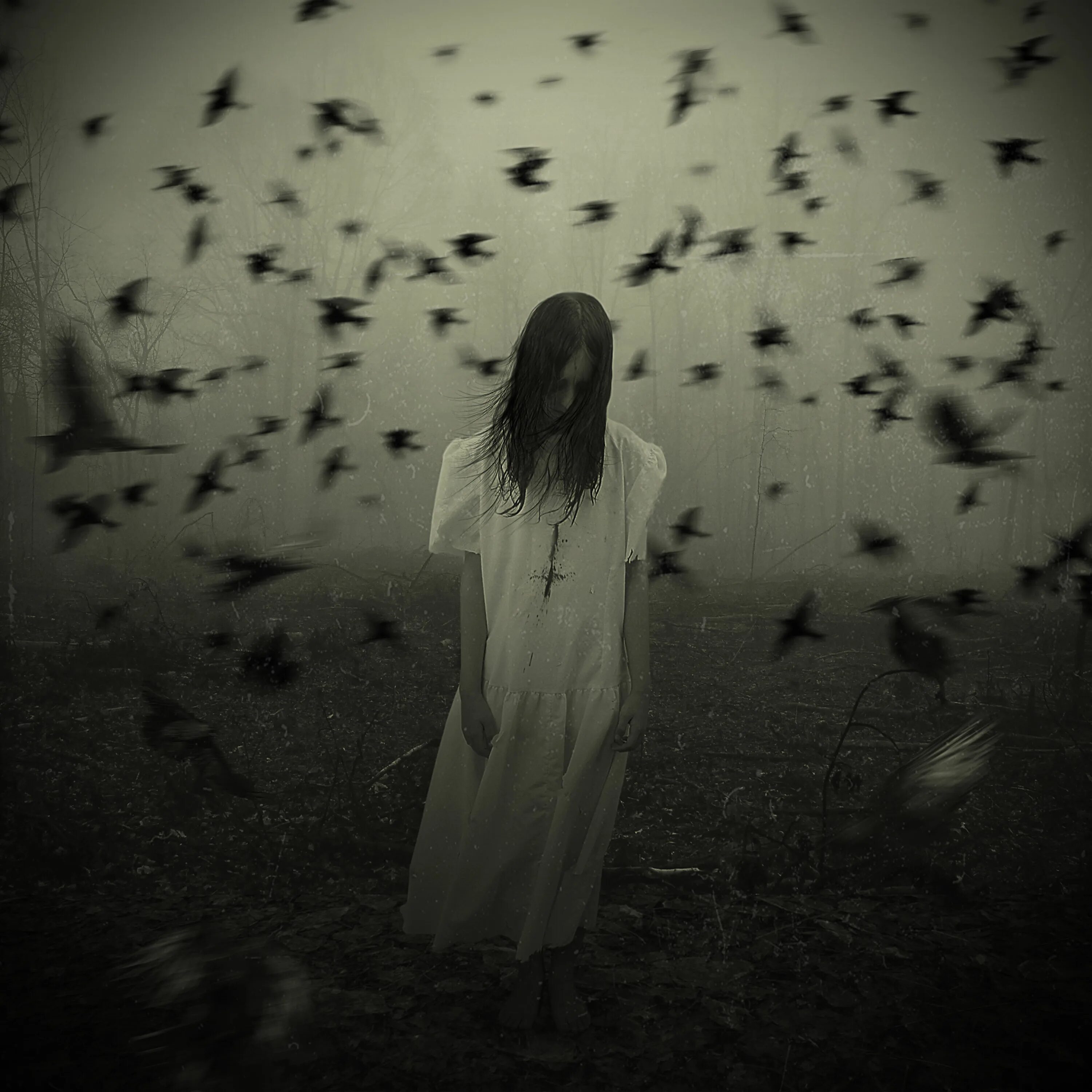 Цитаты про тварей. Дерзкие статусы. Я уже любил мне хватит не хочу я вновь страдать. Статус про тварей. Душа тварь.