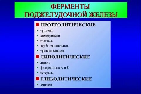 Поджелудочная выделяет пищеварительные ферменты