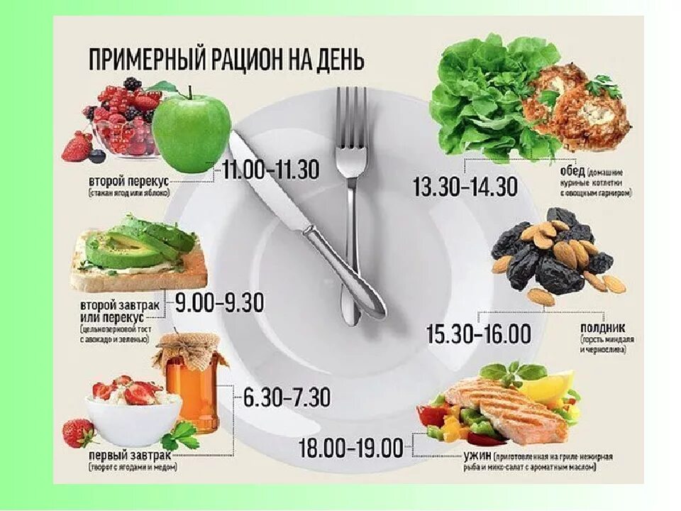 Правильное питание рацион на каждый. Правильное питание рацион на каждый