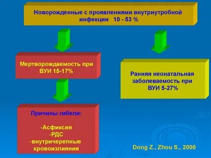 Внутриутробная инфекция причины