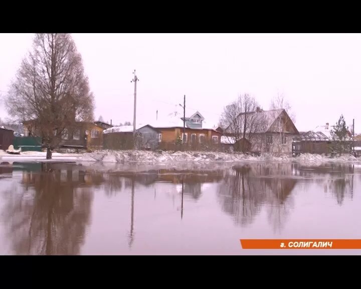 осеннее наводнение. река лух паводок. паводок солигалич. летне осенний паводок. летне осенний паводок.