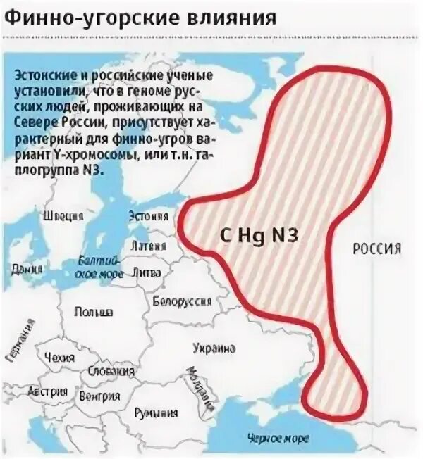 Почему финно угры. Русские финно угры. финно-угры внешность. угро финские племена. финно-угры и славяне.