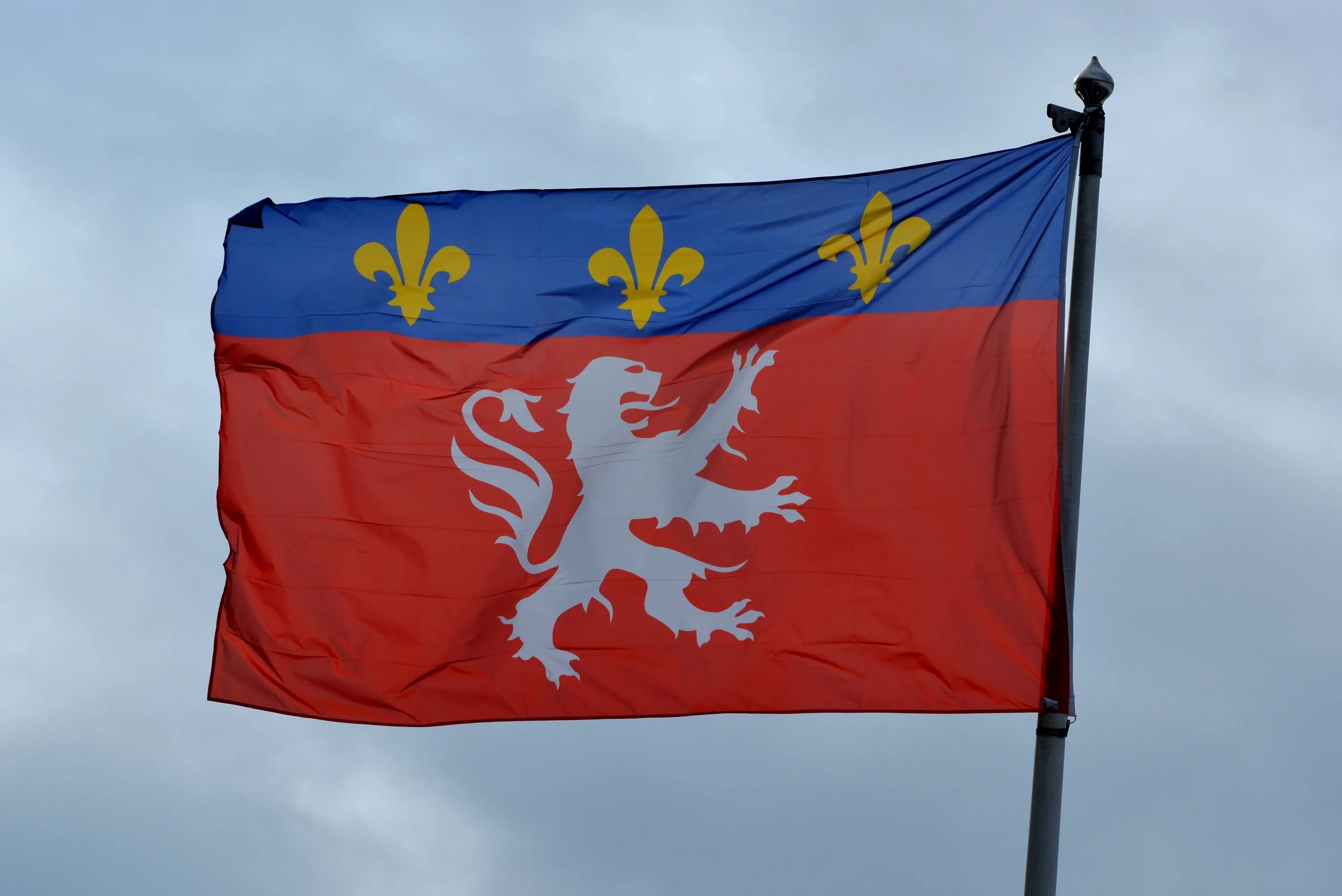 Флаги картины. Лион флаг. левые флаги. флаг рисунок. львов флаг.