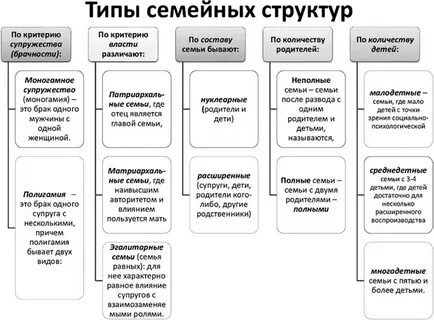 Тест виды семей