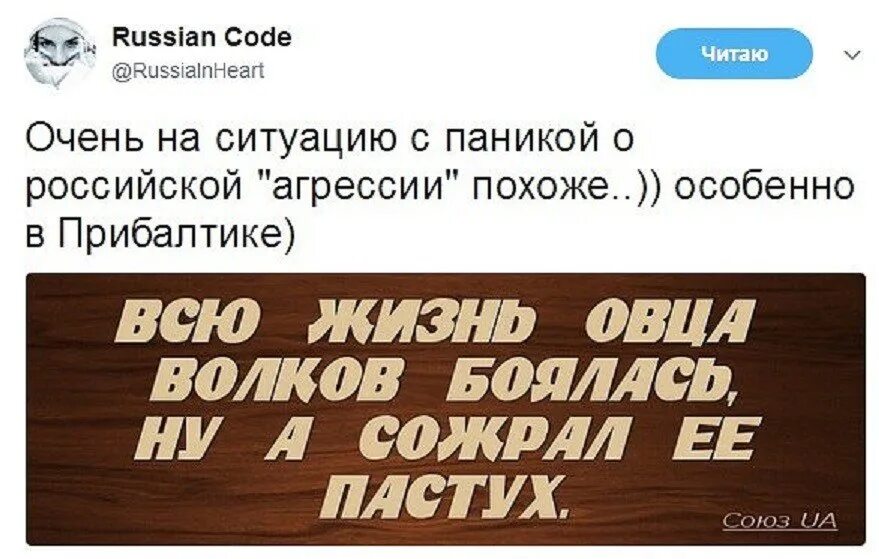 Всю жизнь овца волков. Овца всю жизнь Волков боялась,а сожрал ее пастух. Всю жизнь овца Волков боялась. Всю жизнь овца Волков боялась а съел ее пастух смысл. Овца боялась волка а съел.