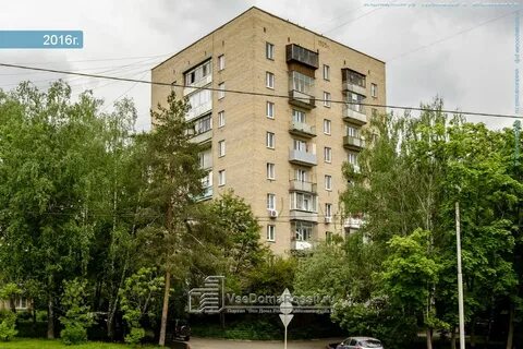 Зеленая дом 8