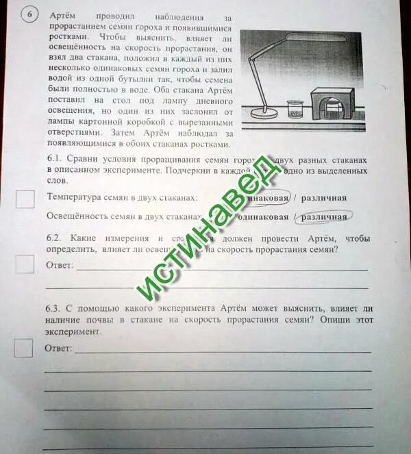Какие измерения и сравнения надо проводить павлу