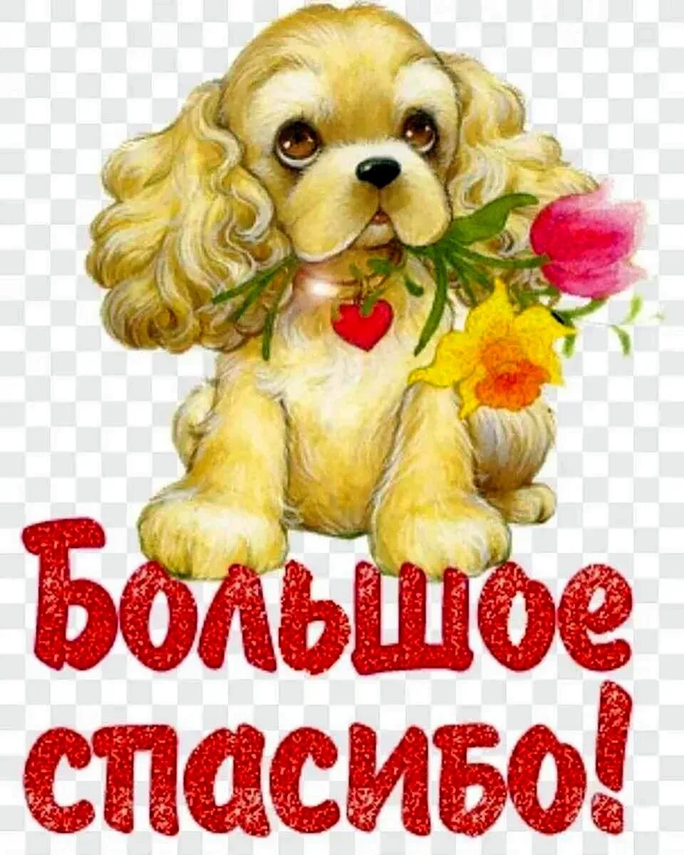 Открытки с благодарностью. Картинка с благодарност. Спасибо большое очень приятно. Спасибо большое. Найти открытки спасибо.