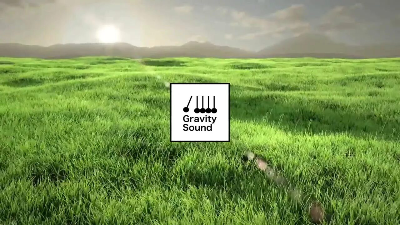 Source field