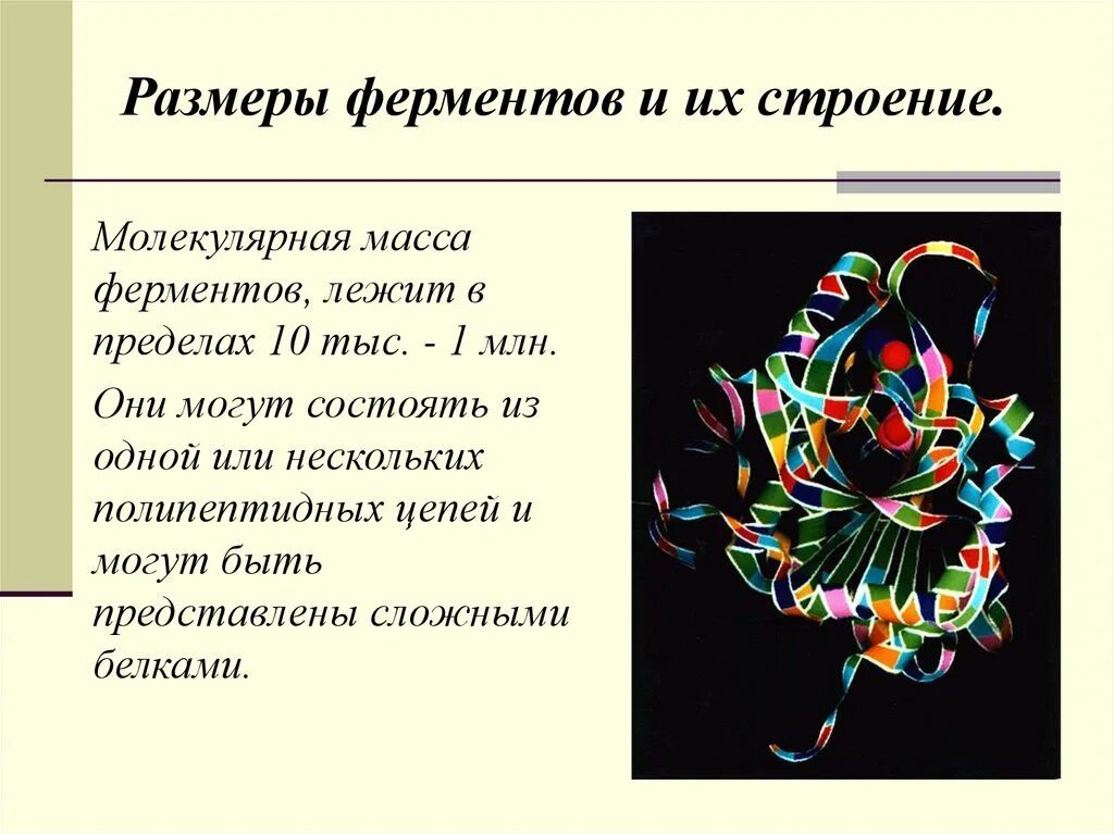 Какую функцию ферменты. Ферменты в организме человека. молекулярная масса ферментов. строение ферментов. молекулярное строение ферментов.