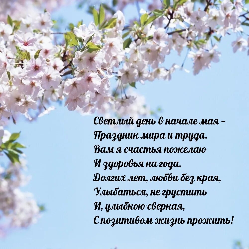 27 мая за какой день работаем. Весенний фон. Навруз фон. Первомайские цветы.