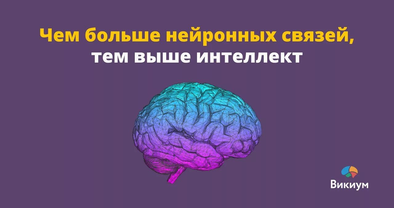 Чем выше интеллект тем. Чем выше интеллект тем