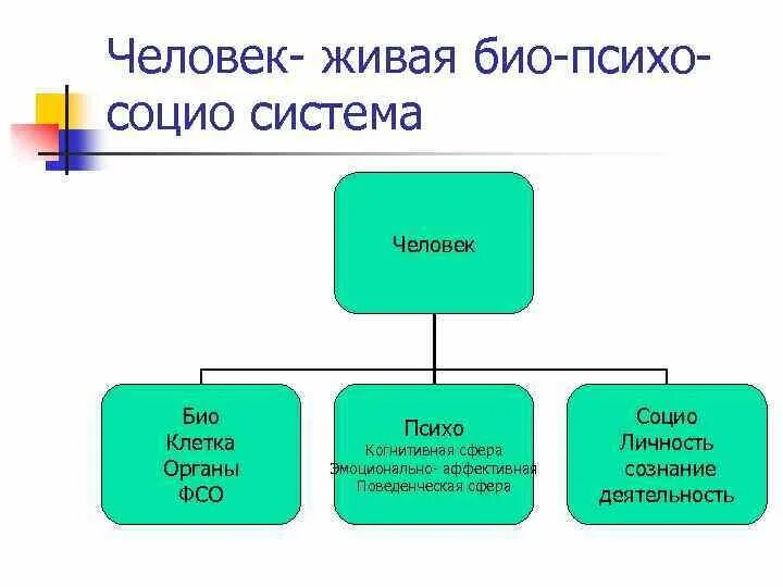 Био психо социо модель. Био социо психо духовная модель человека. Биопсихосоциодуховная модель зависимости. Биопсихосоциодуховная болезнь. Био-психо-социо-духовная модель.