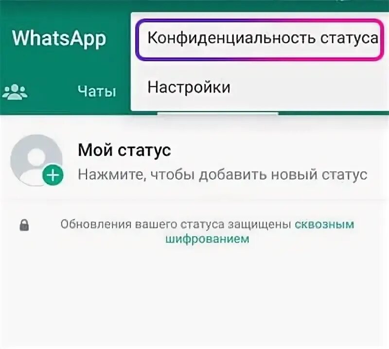 Как поставить видео в статус ватсап. Как поставить видео в статус ватсап