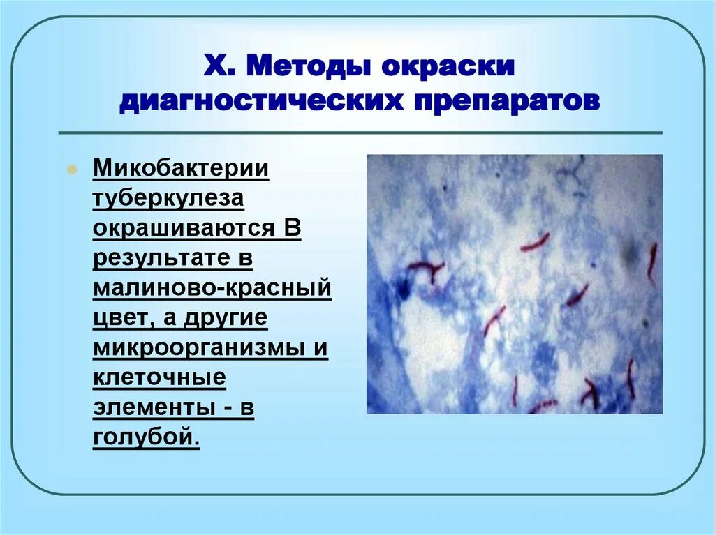 Метод окраски микобактерий. Методы окраски туберкулеза. Окраска микобактерий туберкулеза. Методы окраски микобактерии. Возбудители туберкулеза тест