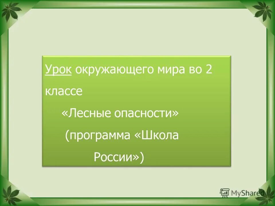 опасности в лесу 2 класс окружающий мир. окружающий мир лесные опасности 2 класс проект. лесные опасности для детей. лесные опасности окружающий мир. лесные опасности 2 класс.