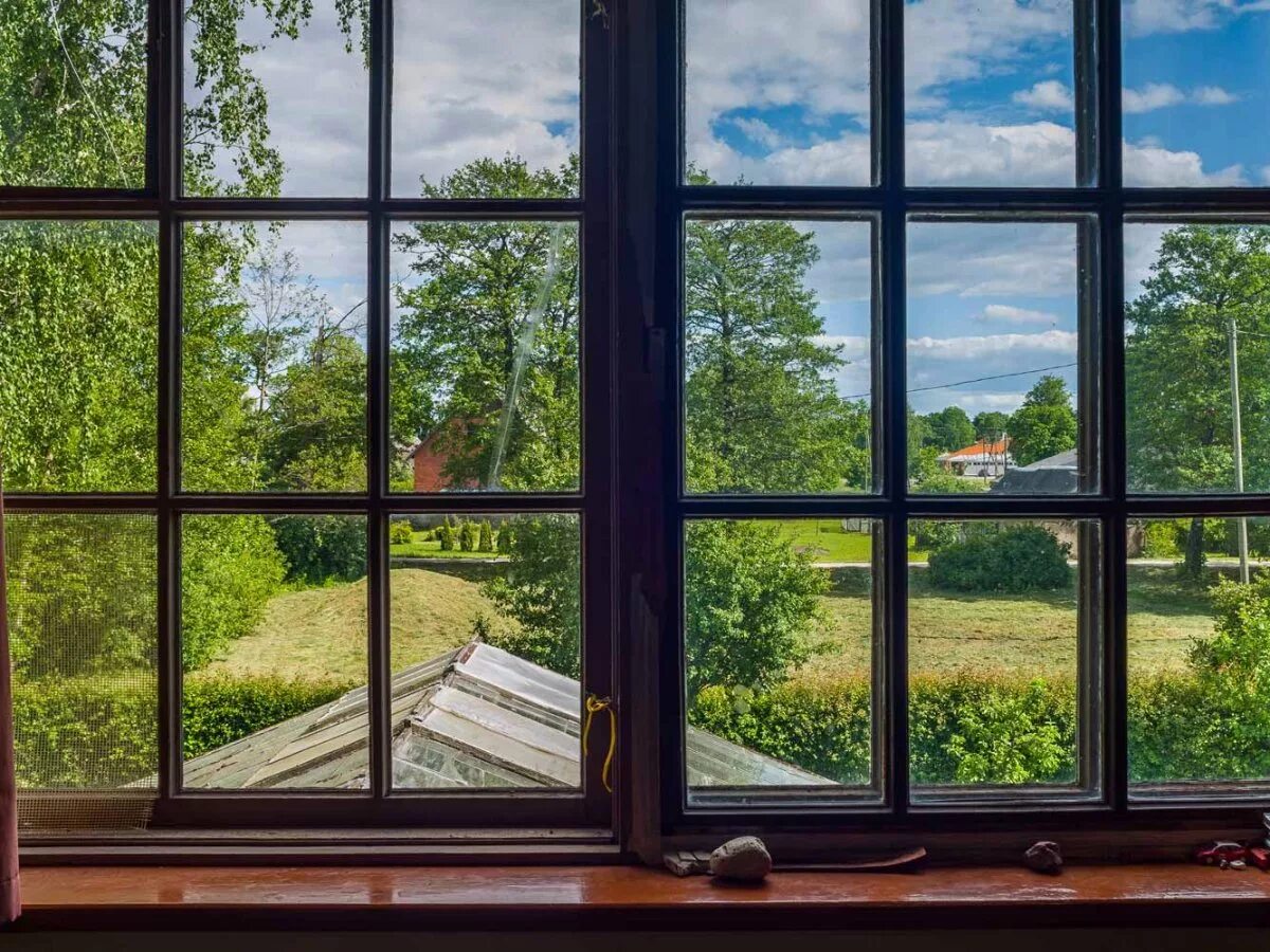 The window