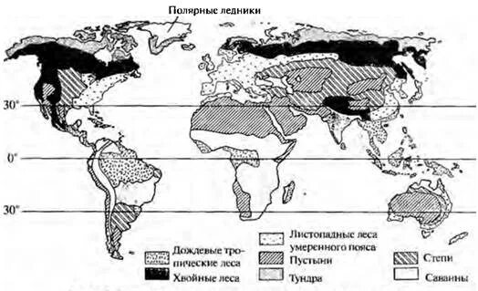 Биомы суши. Биомы суши карта. Карту основные типы биомов суши. Основные типы биомов суши по Вальтеру карта. Зональные типы биомов суши.