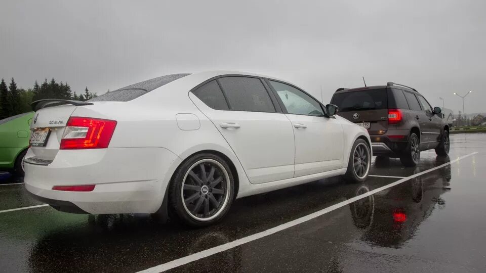 Skoda octavia занижение. Skoda rapid занижение. Octavia a8 занижение. Skoda octavia занижение. Skoda octavia занижение.