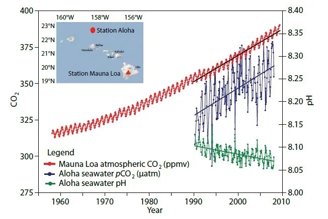 Самая высокая p co 2. Лихорадка pco2 и PH. Acidification PH. Статистики подкисление океана.