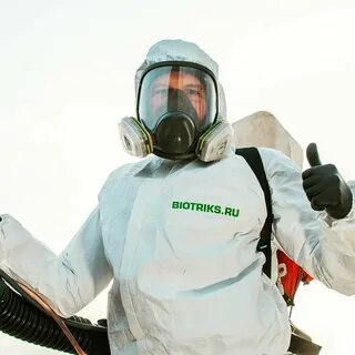 Сэс реутов