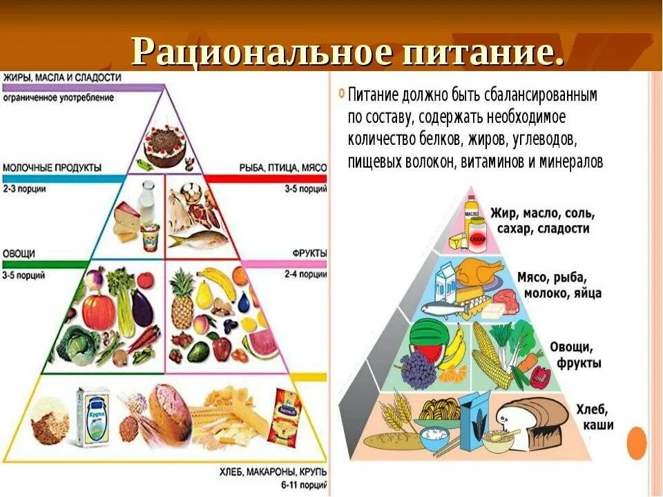 Рацион здорового питания. Основы рационального питания. Принципы правильное рациональное питание. Составляющие рационального питания. Суть сбалансированного питания