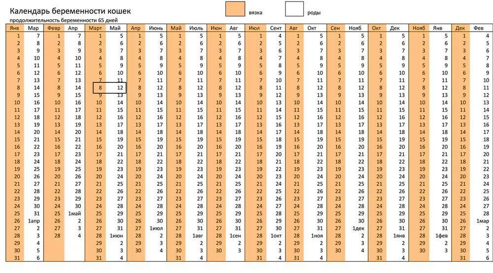 Таблица беременности собаки. Калькулятор беременности рассчитать срок родов у собак. Таблица беременности кошек. Таблица родов у собак.