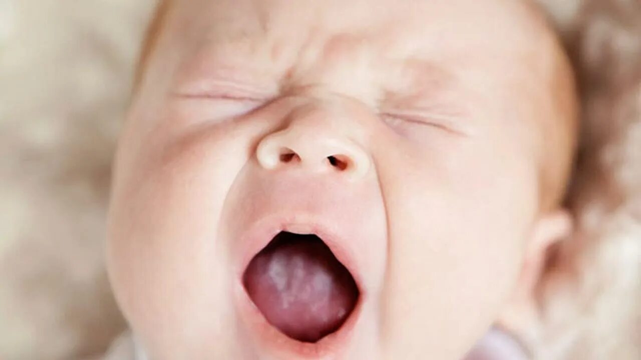 Грудничок высовывает язык. Новорожденные высовывают язык. Ребенок с высунутым языком. Грудничок высовывает язык. Почему ребенок постоянно высовывает язык.