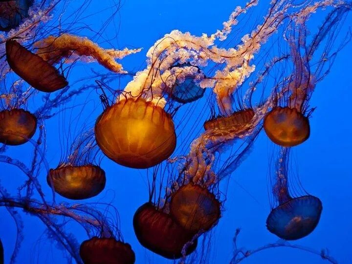Drop in the ocean