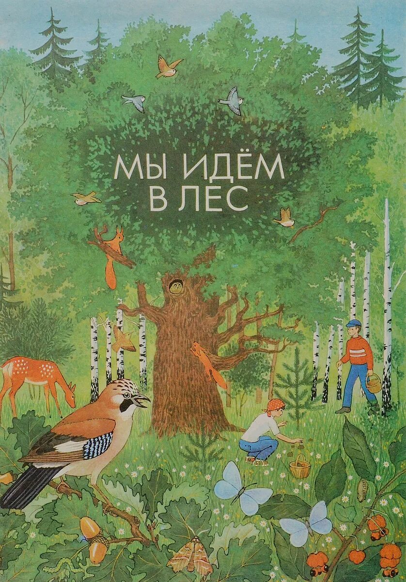 Книги о лесе для детей. Мы идем в лес книга. Обложка книги лес. Детские книги про лес.