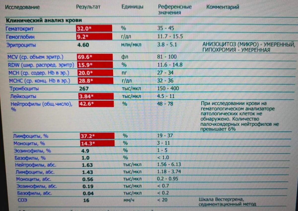 Сколько ждать результаты крови