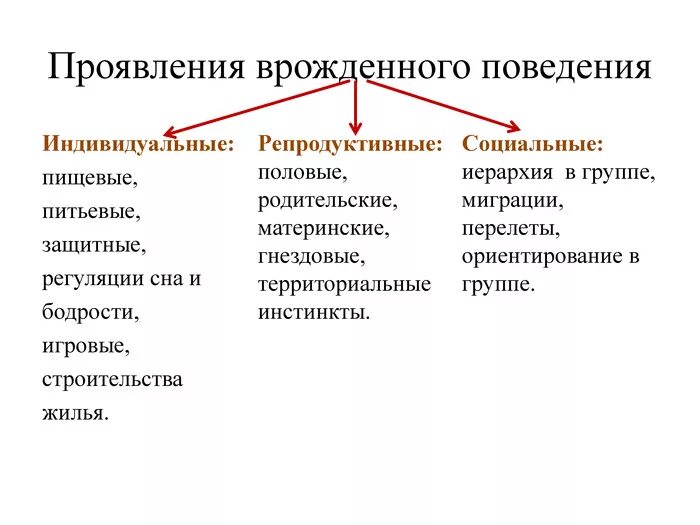 Врожденное поведение животных. Врожденное поведение животных