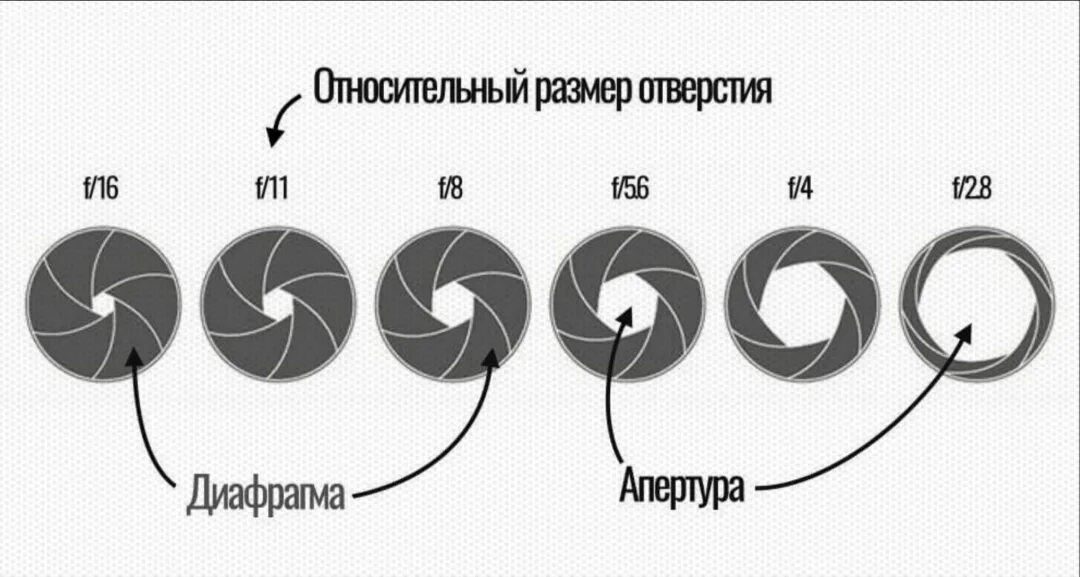 Апертура основной камеры. Диафрагма объектива. открытая диафрагма. диаметр диафрагмы. диафрагма камеры.