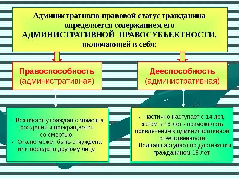 Элементы административного статуса гражданина