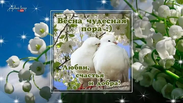 С первым днём весны счастья любви добра. С первым днем весны. Красивые весенние открытки. С праздником весны. Солнечного весеннего дея.