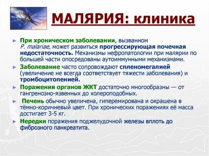 Малярия заболеваемость