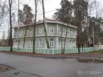 Интеллект лисий нос