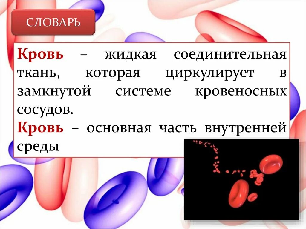 Кровь жидкая соединительная ткань. Терминология кровь. Объем жидкой части крови