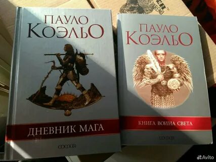 Воин света книга