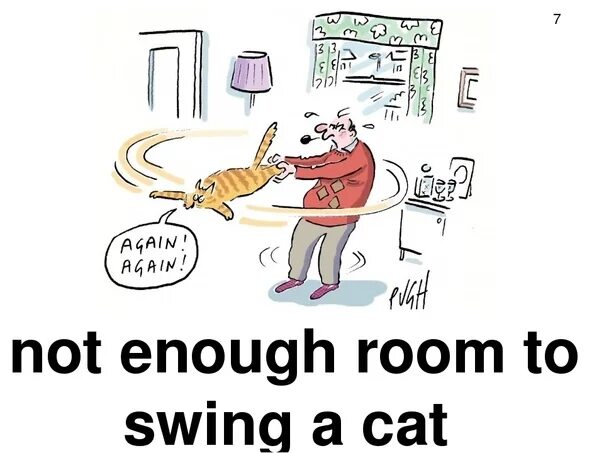 No Room to Swing a Cat идиома. No Room to Swing a Cat. Not Room to Swing a Cat. Not enough Room. There isn t a cat