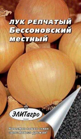 Лук сорт Бессоновский.