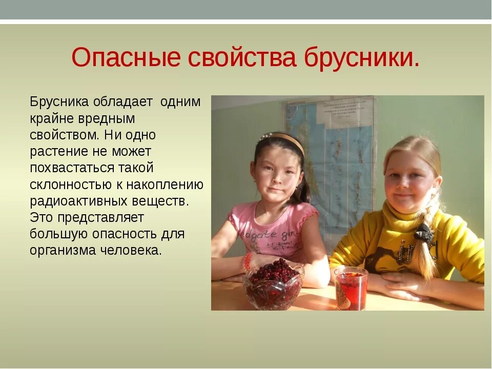 Отличие клюквы от брусники. Чем полезна брусника. Клюква ягода. Брусника свойства и польза для организма человека. Блушник полезные свойства.