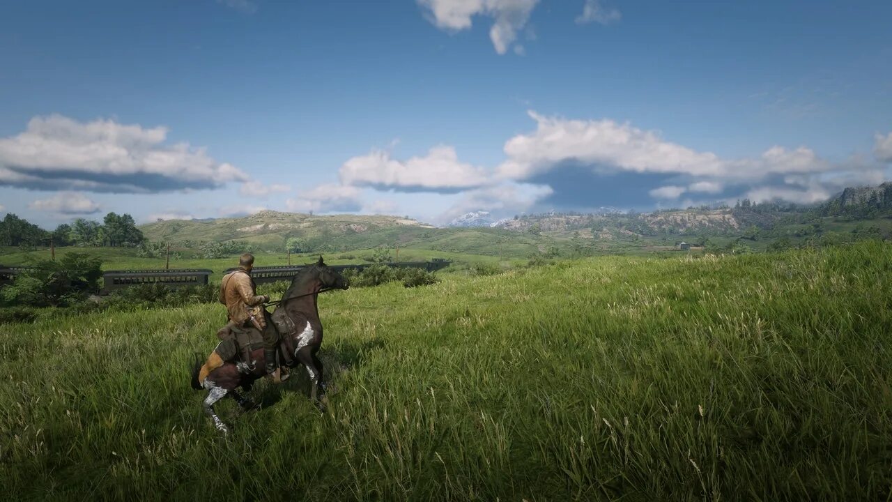 Рдр 20. Ред дед редемпшн 2. Red Dead Redemption 2 (PC). Red Dead Redemption 2 фон.